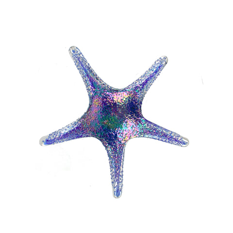 7841SIR Tropical Starfish Wall Art