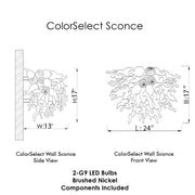 ColorSelect Blue Ombre Blown Glass Wall Sconce