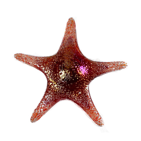 7840BIR Tropical Starfish Wall Art