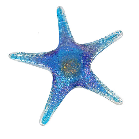 7843BIR Tropical Starfish Wall Art