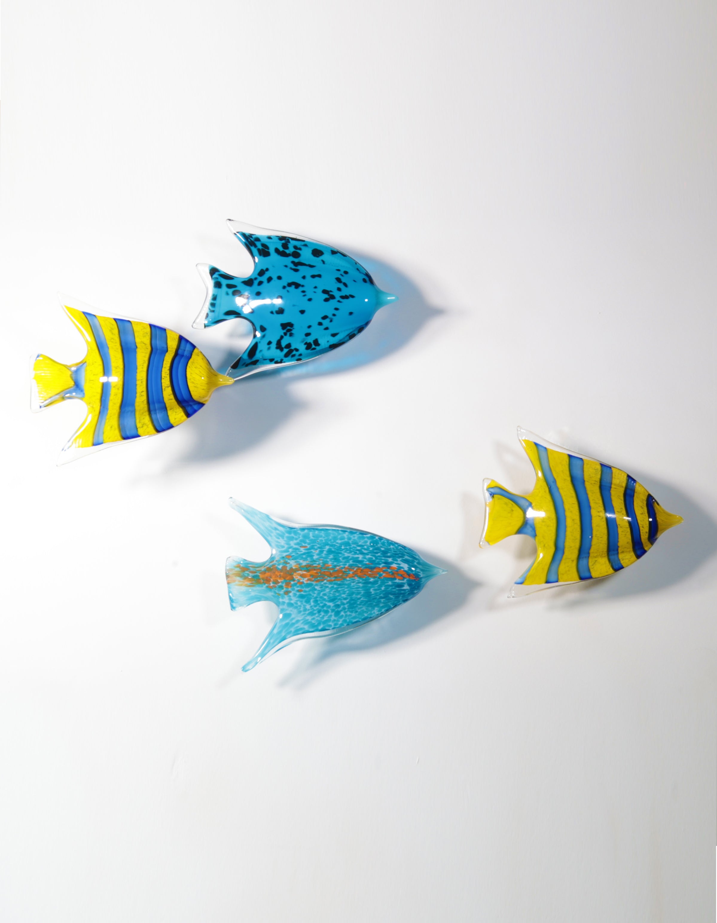 7800BIR Fish Wall Art