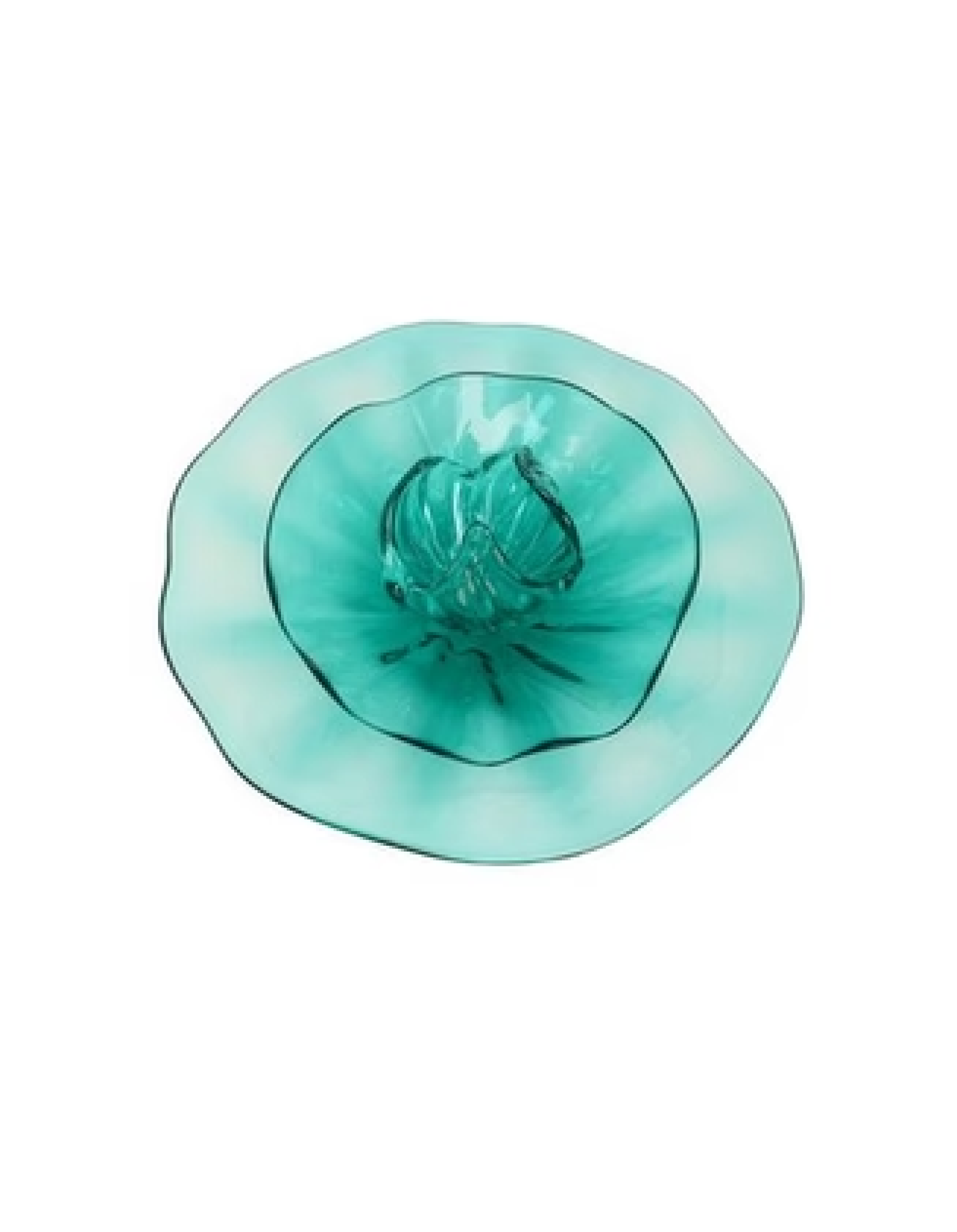 NW4955DGBIR Poppy Flower Wall Art