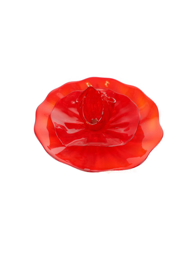 NW4955RBIR Poppy Flower Wall Art