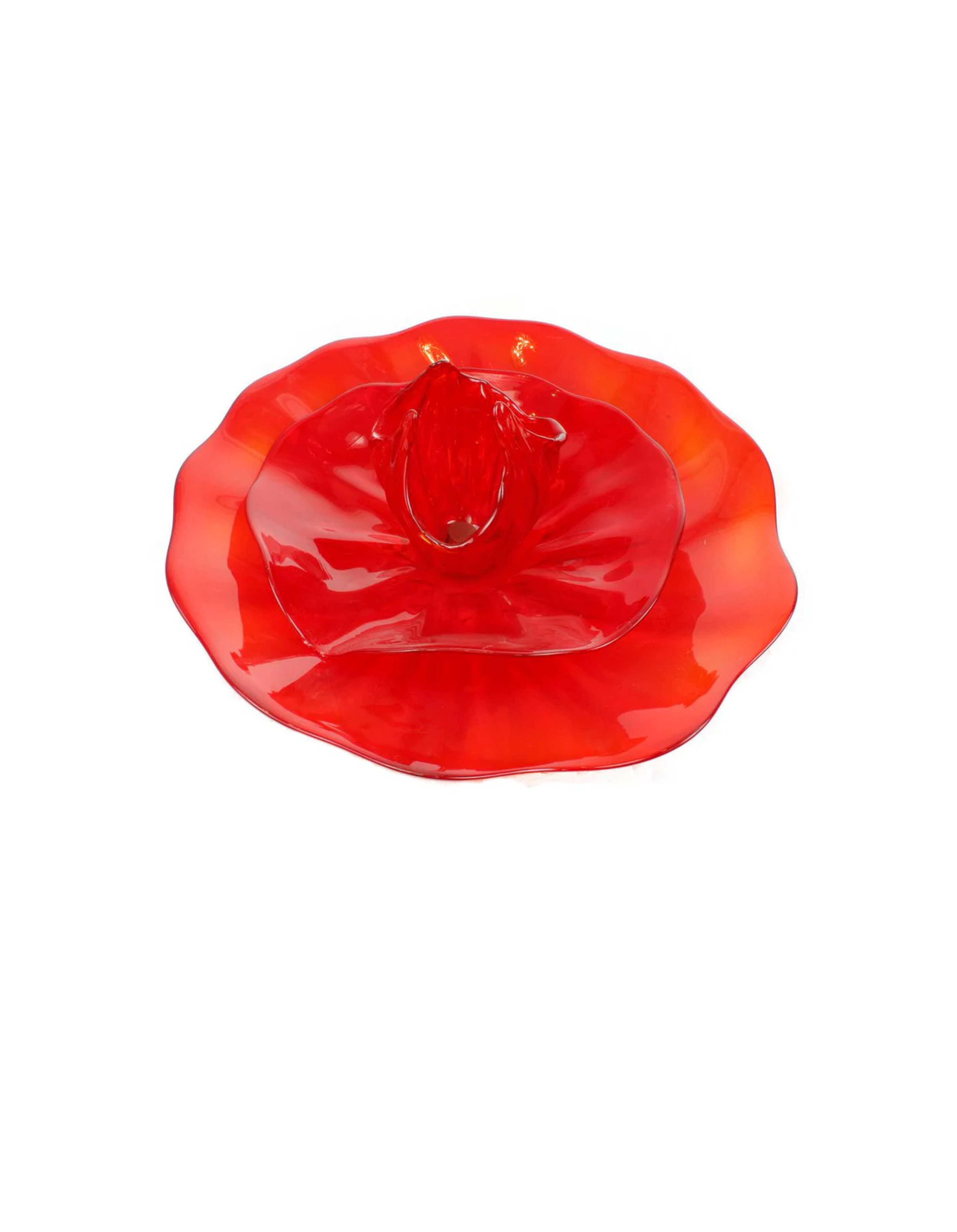 NW4955RBIR Poppy Flower Wall Art